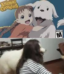 Oh yeah, it's all coming together. Oh Yeah Its All Coming Together Meme Guy