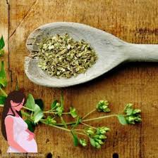 Oregano Durante El Embarazo Es Seguro