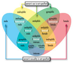 File Sex Sexuality Venn Png Wikimedia Commons