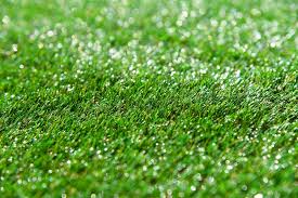 Lay out the synthetic grass rolls. How To Lay Artificial Grass Melbourne Amazing Turf