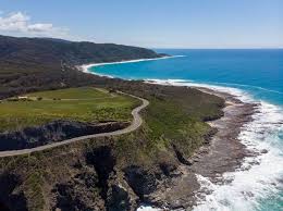 Tourism Predictions in New Zealand