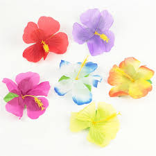 Choosing a heartfelt floral tribute for a loved one can be difficult at an emotional time. Celebrations Occasions 54pcs Tropical Hawaiian Silk Hibiscus Flowers Pool Beach Party Decor Uk Home Furniture Diy Goldenvillainn Com