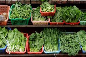 5 Easy Ways To Add Green Leafy Vegetables To Your Diet Browse the user profile and get inspired.