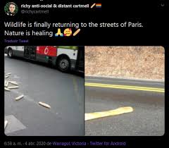 15 Memes Proving That Nature Is Healing In These Trying Times ...