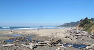 Oregon coast campground map northern half oregon coast camping in a campervan rental — wandervans. Find A Park Oregon State Parks