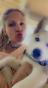 Can you help identify this stray dog?