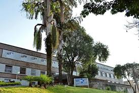 Belo horizonte, metrópole cultural e com lindas escorts muito sensuais. Medicos Do Hospital Sao Francisco De Assis Em Belo Horizonte Denunciam Atraso De Salario Radio Itatiaia A Radio De Minas