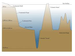 Ocean Notes I Features Of The Ocean Floor A There Are 3 Major Regions On The Ocean Floor Continental Margin Ocea In 2020 Continental Shelf Layers Of The Ocean Ocean