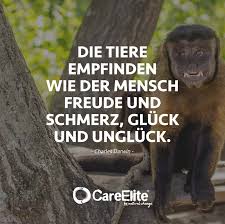 55 Tierschutz Zitate Spruche Gegen Tierqualerei Careelite