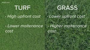 La quinta, cathedral city, coachella, desert hot springs & rancho mirage. Verify Is Natural Grass Or Artificial Turf Better For Your Backyard King5 Com