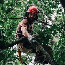 We did not find results for: Raines Tree Care Home Facebook