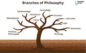 Aesthetics is the branch of philosophy concerned with the nature and appreciation of art, beauty and good taste. Main Branches Of Philosophy Metaphysics Axiology Logic Leverage Edu
