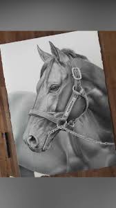 Pen Dot Drawing Video Equine Art Pencil Drawings Dotted Drawings Watercolor Horse Painting