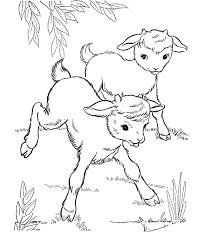 We did not find results for: Goat Printables Coloring Pages Coloring Home