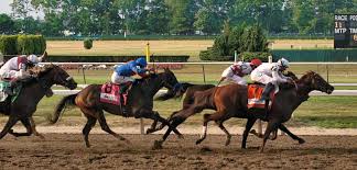 Belmont Stakes Tickets Vivid Seats