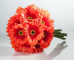 Daisies are great in bouquets because they play well with other flowers. Flowers For Autumn Weddings Flower Parade