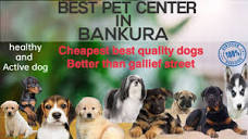 Bankura Cheapest Dog Market // Bankura Cheapest Dog shop// Better ...