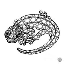 Pin On Pen And Ink Animals By Amy E Fraser