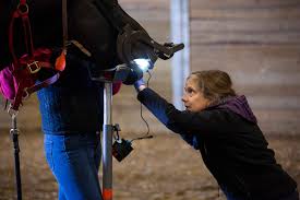 Iowa State University College of Veterinary Medicine