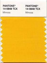 Vanillajodphurs Yellow Pantone Pantone Pantone Color