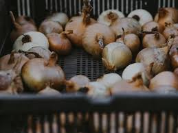 Guide contains locations , how to farm, where to get, & where to find onion! Dehydrated Onions How To Dehydrate Them And Why To Dehydrate