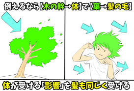 模写とは 絵の初心者におすすめ 最強に上達する 4つのコツ が効果ありすぎ 画力ゼロからはじめるイラスト漫画生活 イラスト 絵 漫画イラスト