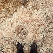 Maybe you would like to learn more about one of these? Sawdust Wikipedia