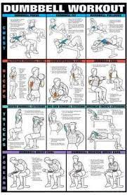 Image Result For Bodybuilding Hand Exercises Dumbbell