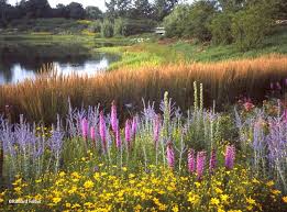 James van sweden, an influential landscape architect who drew inspiration from the grand masters of painting to create vivid, naturalistic landscapes that seemed to explode with grasses and wildflowers. James Van Sweden Dies