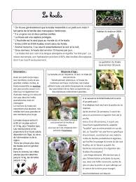 Lecture Et Telechargement Du Fichier Koala Pdf Sur Www Fichier Pdf Fr Koala Australie Documentaire Animalier