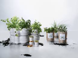 To keep your herb garden healthy (and alive), you'll need to know how to take care of each one individually. 5 Simple Tips For Growing An Indoor Herb Garden Dwell