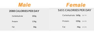 5 day macro dieting meal plan