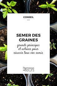 On en consomme depuis l'antiquité mais cette pratique s'était un peu perdue avec les années. Semer Des Graines Tout Ce Qu Il Faut Savoir Nos Conseils Et Astuces Promesse De Fleurs