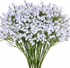 Learn how to care for this plant. Amazon Com Supla Pack 2 Baby S Breath Artificial 14 Forks Total Of 882 White Blooms Babys Breath Bulk Flower Bush Gypsophila Artificial In White 15 7 Tall For Wedding Wreath Boutonniere Flower Crown Home
