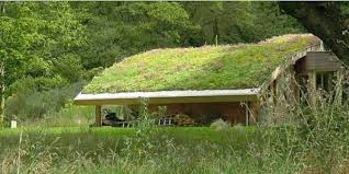 Patio Landschaft Dachbegrunung Gartenhaus Exterior Ideen Grune Architektur Gartenhaus Hauswand
