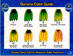 The Chiquita Banana Color Guide The Most Popular Shades Are