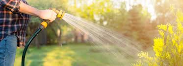 Things To Consider When Watering Trees In The Fall Use them in commercial designs under lifetime, perpetual & worldwide rights. watering trees in the fall
