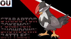 Staraptor Pokemon Showdown Battles Pokemon Showdown Pokemon Battle