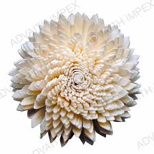 On this page you will find 4 coupon codes that will help you save. Sola Flower Suppliers Sola Flower Exporters Manufacturers