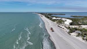 Image result for Sandy Beach Brown 2011 Captiva