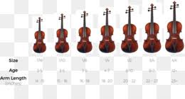 Violin Making And Maintenance Luthier String Instruments