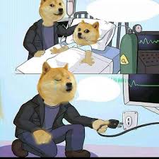 1080 x 1080 px, video (45.5 mb) this is a signed and limited edition digital creation.all you need is a pc with a several graphics cards configured with the correct drivers and software for optimal hash rates and pointed at a mining pool. Doge I M Sorry Blank Template Imgflip