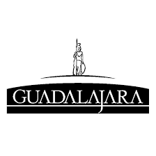 It does not meet the threshold of originality needed for copyright protection. Pin En Guadalajara Jalisco Logos