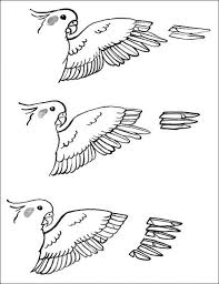 You Can Give Your Cockatiel Varying Amounts Of Flight Capability Depending On The Amount Of Feathers You Clip On Her Wings Cockatiel Pet Birds Cockatiel Toys