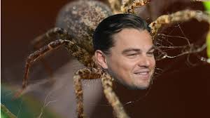 Why So Many New Species Are Named After Celebrities