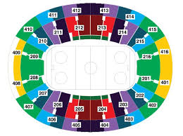 Smotrim Hokkej Ska V Peterburge