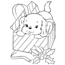 Choose your favorite dog's own colors and then color the back ground with your favorite colors. Top 30 Free Printable Puppy Coloring Pages Online