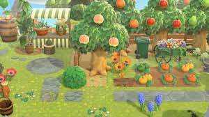 Plant Orchid Stall Area Acnh New Animal Crossing Animal Crossing Orchids