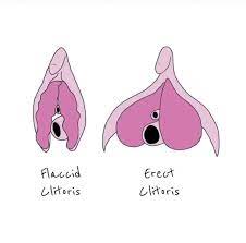 Sexologist Tyomi Morgan, ACS on X: 