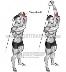 2 is the tricep extension machine good? Pin On Cable Routines